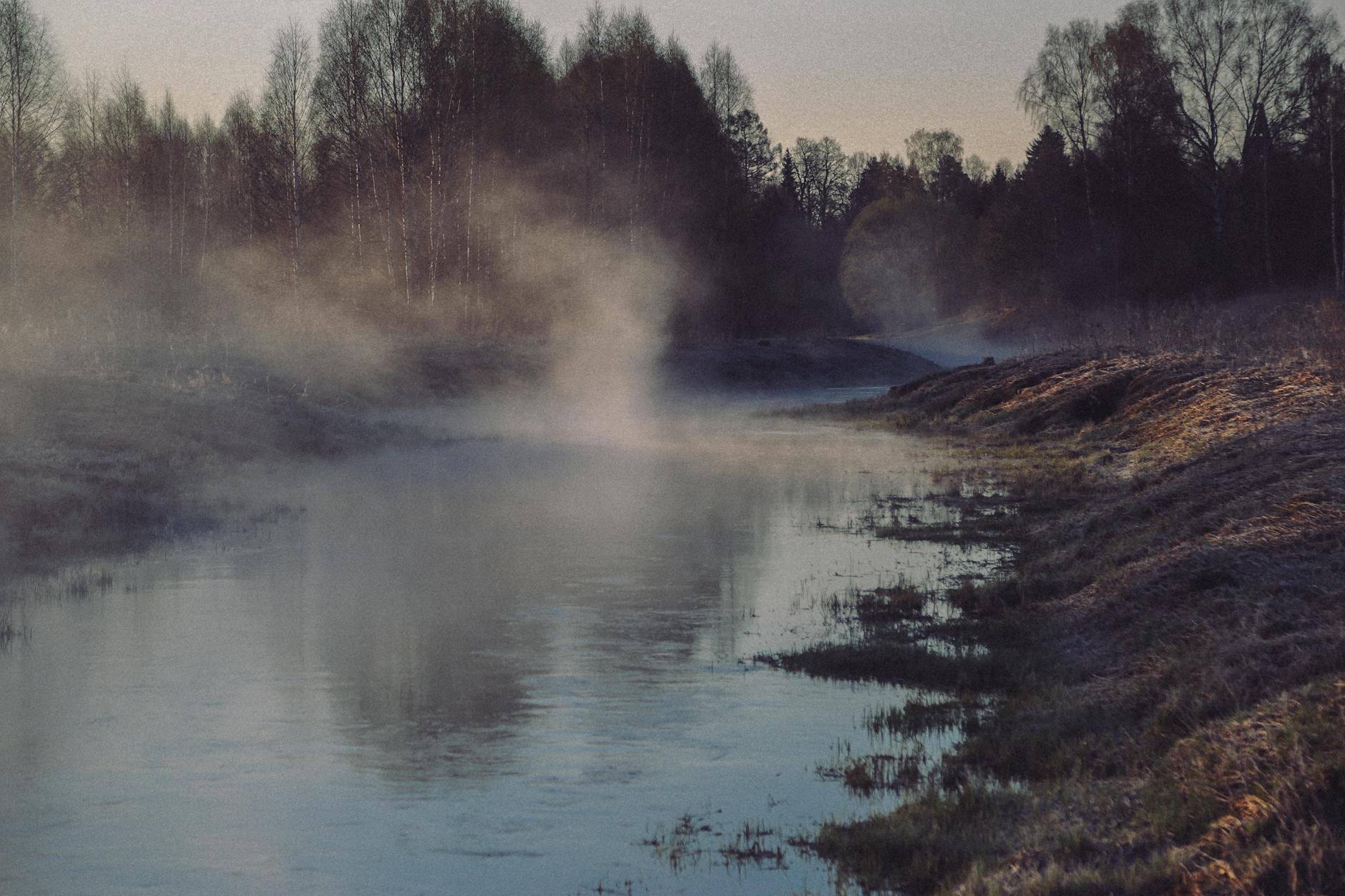 Misty forest along the Clearwater River near Kamiah, Idaho